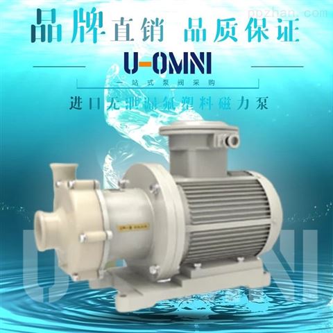 进口无泄漏衬氟磁力高（保）温泵-U-OMNI