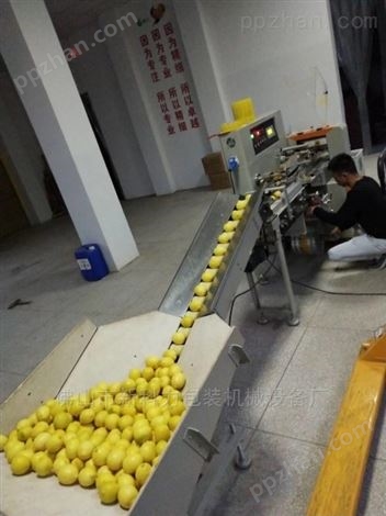 重庆全自动柠檬包装机