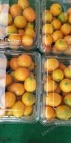 黑龙江pet水果吸塑包装盒 吸塑盒批发价格 水果吸塑盒