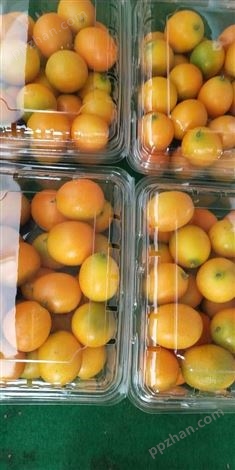 黑龙江pet水果吸塑包装盒 吸塑盒批发价格 水果吸塑盒